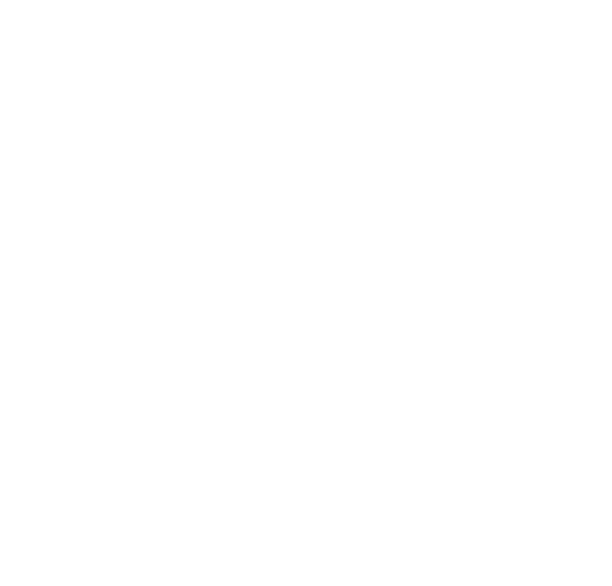 100% Made in Europe